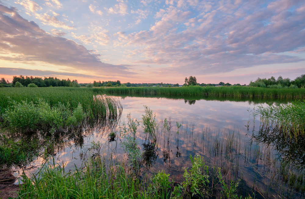 Фотографія Вечоріє за озером / Николай , Мороз / photographers.ua