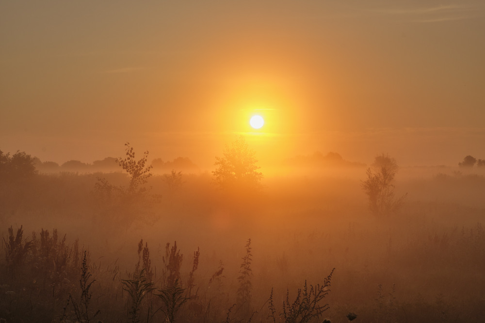 Фотографія Магія ранкового туману / Николай , Мороз / photographers.ua