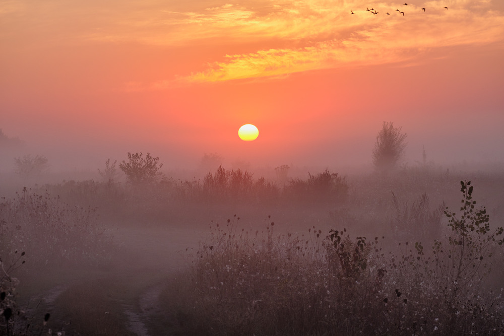 Фотографія Останній світанок вересня / Николай , Мороз / photographers.ua