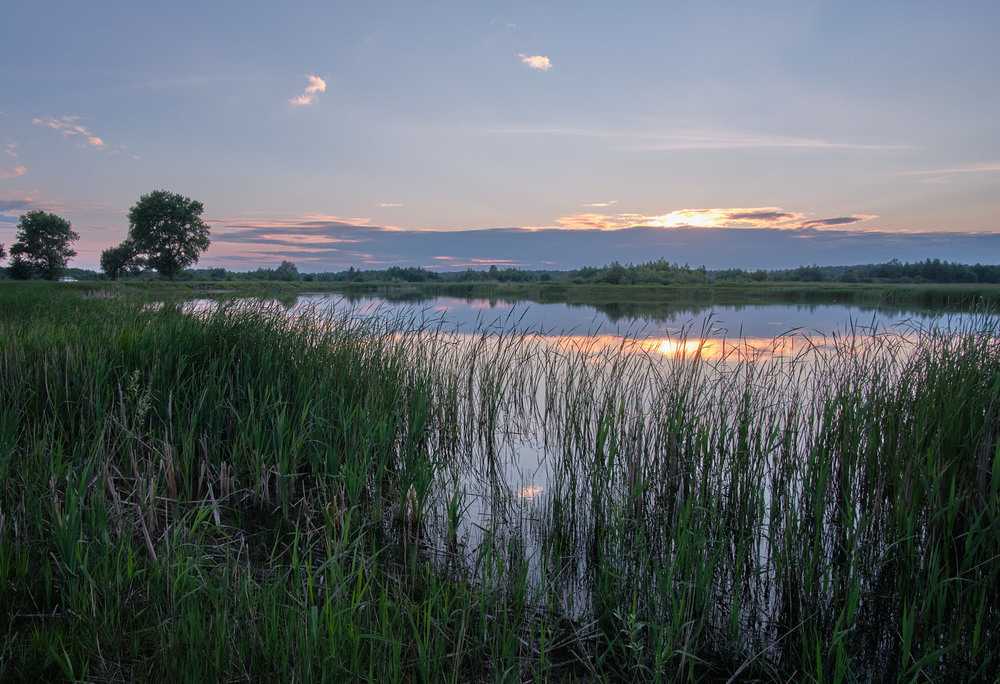 Фотографія Вечоріло над озерцем / Николай , Мороз / photographers.ua