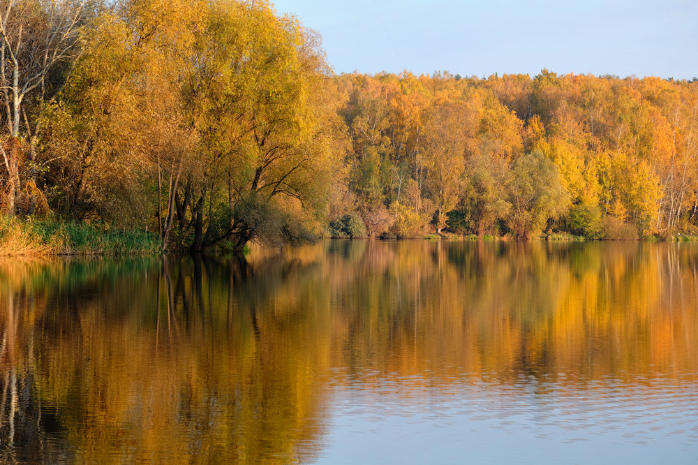 Фотографія Autumnus aurum / Микола Мороз / photographers.ua