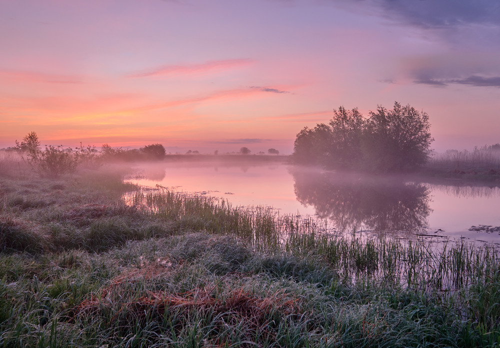 Фотографія Туман ранковий визирнув на полі / Микола Мороз / photographers.ua