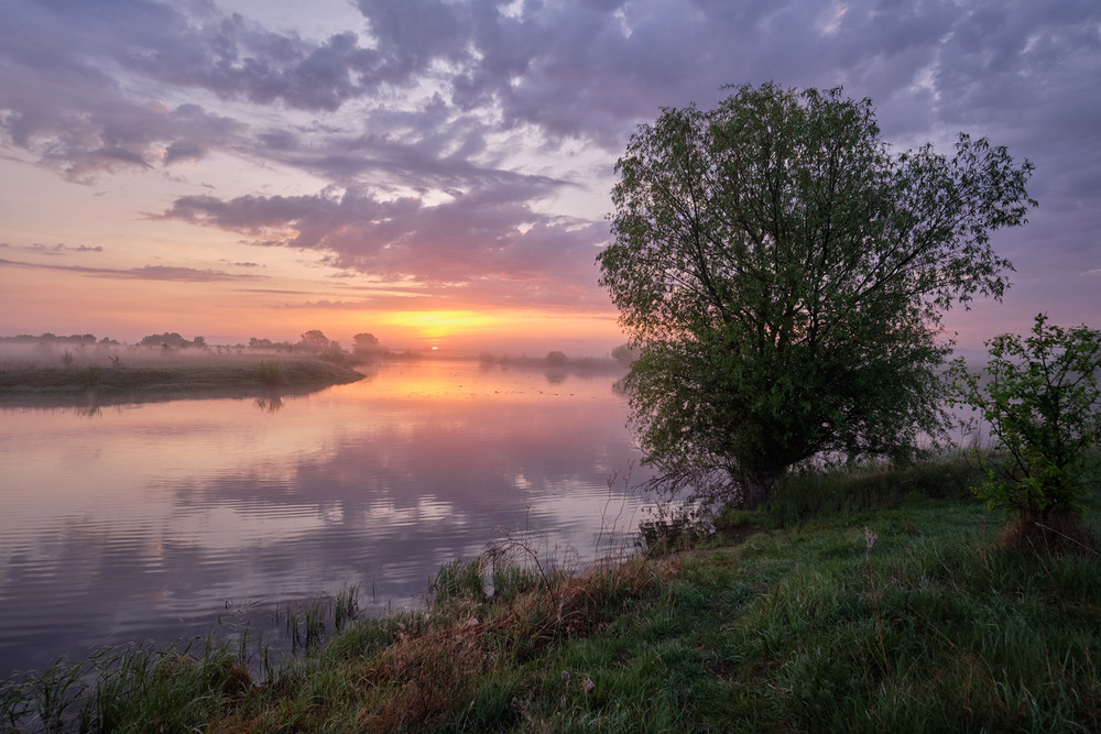 Фотографія Травневе сяйво зранечку вставало / Микола Мороз / photographers.ua