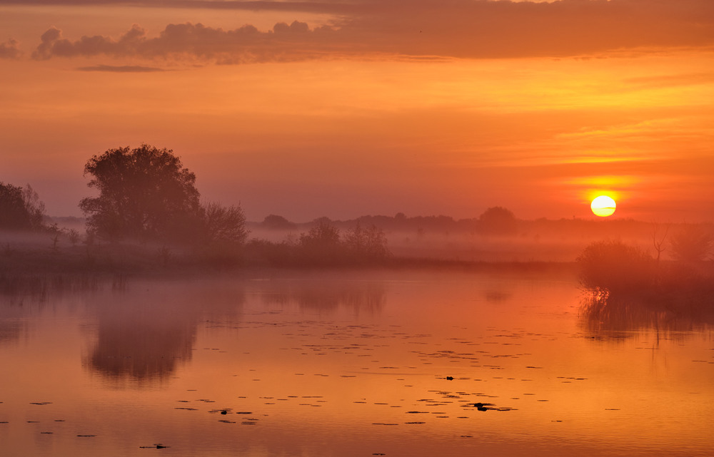 Фотографія За туманом сонце сяє / Микола Мороз / photographers.ua