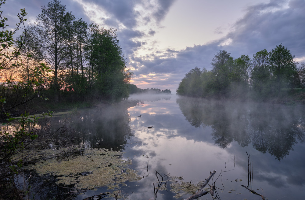 Фотографія Туманним ранком озеро з'явилось / Микола Мороз / photographers.ua
