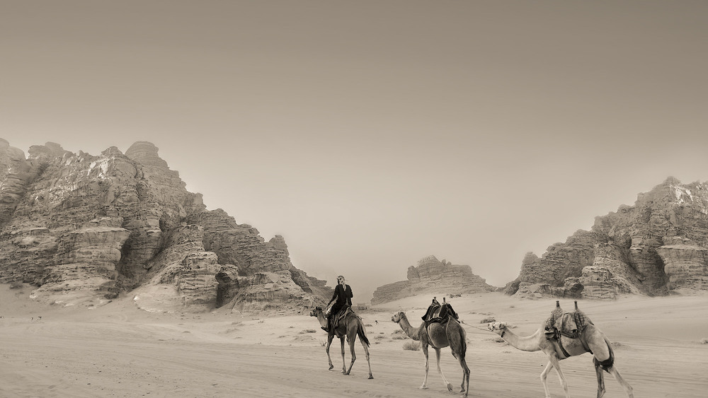 Фотографія Караван верблюдів в пустелі Ваді Рам. Йорданія / Наталія Деркач / photographers.ua