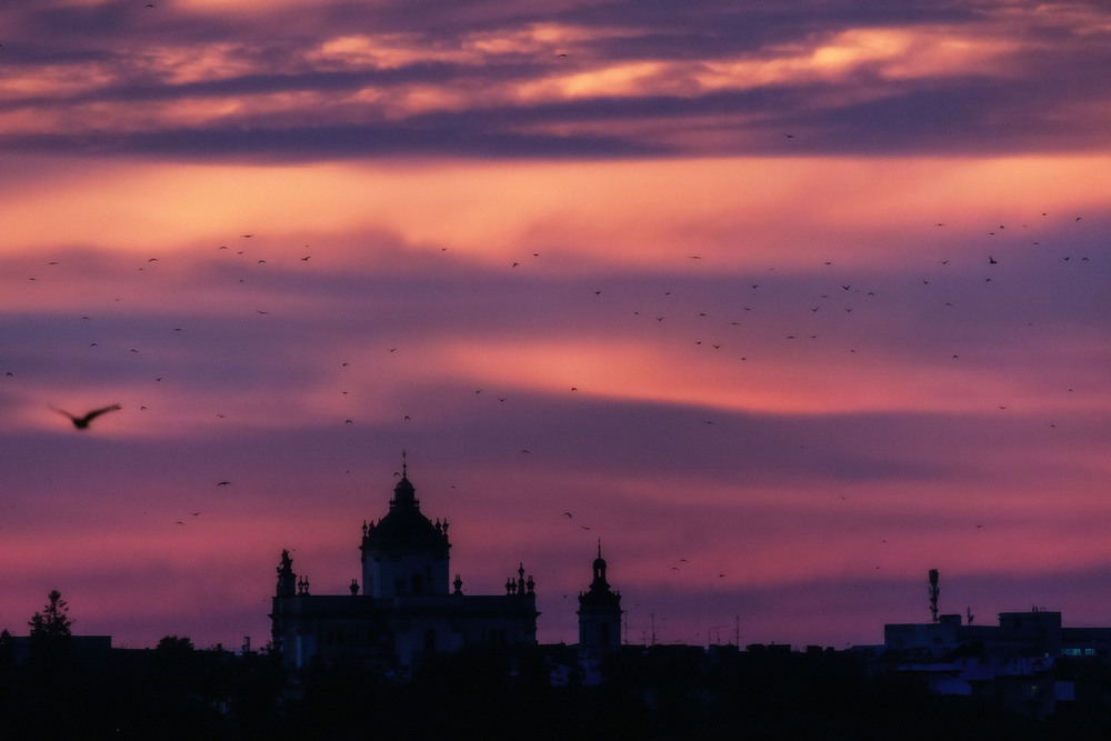 Фотографія Багряне небо над Львовом / Наталия Деркач / photographers.ua