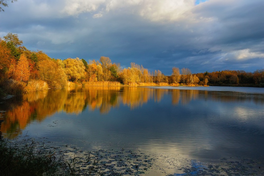Фотографія Там тонет в озере, собой любуясь, осень. / Roor Juri / photographers.ua
