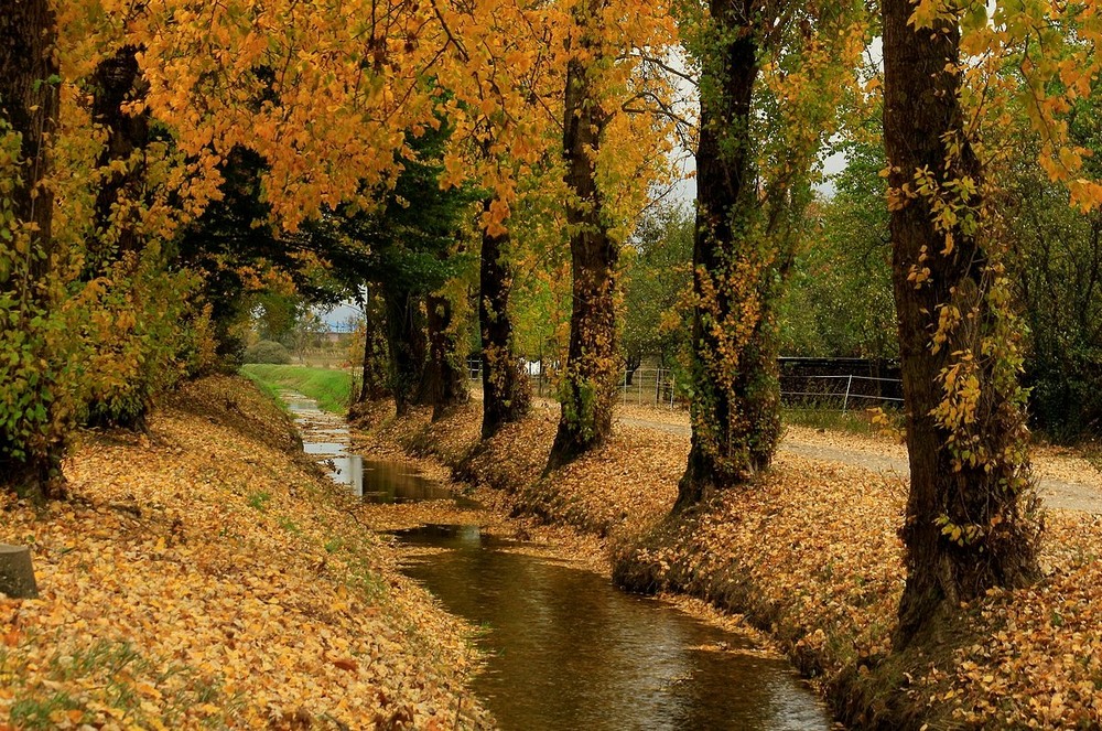 Фотографія Осенний ручей. / Roor Juri / photographers.ua