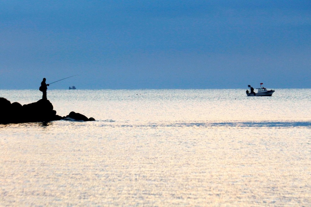 Фотографія Утренняя рыбалка / Roor Juri / photographers.ua