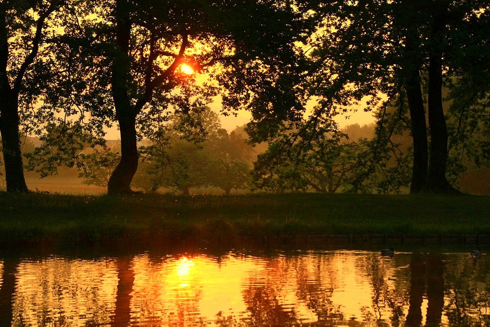 Фотографія Купался в озере оранжевый рассвет. / Roor Juri / photographers.ua