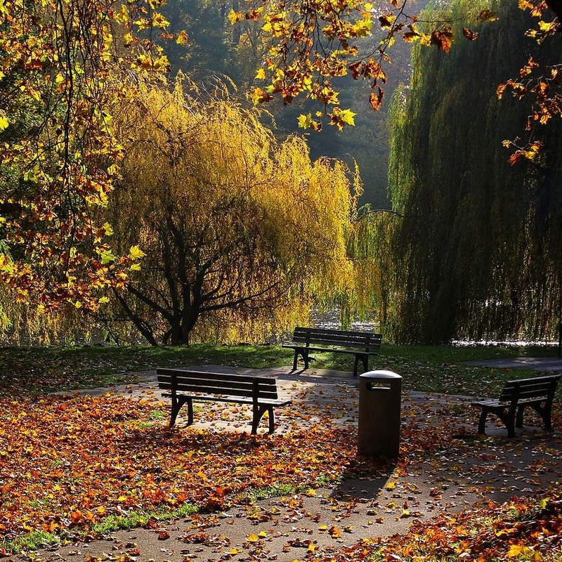 Фотографія Осенние скамейки. / Roor Juri / photographers.ua