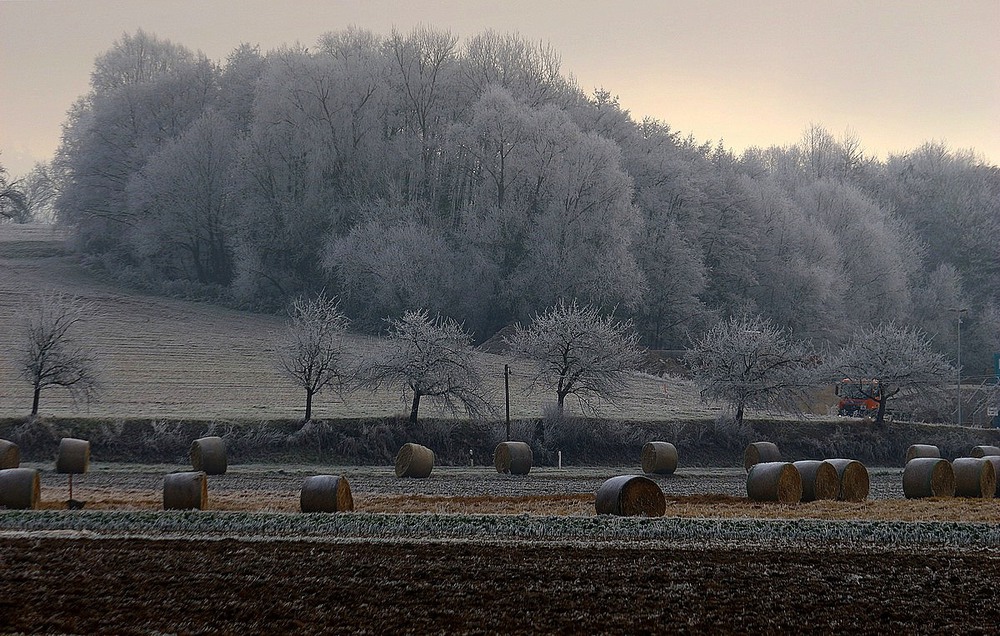Фотографія В полях, под снегом и дождем.. / Roor Juri / photographers.ua