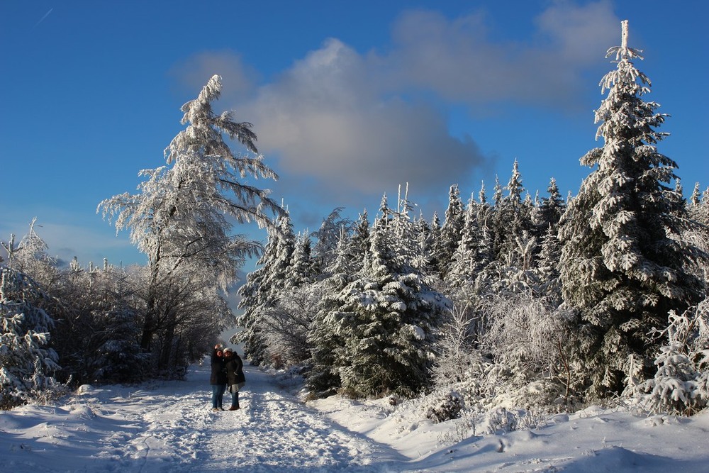 Фотографія Селфи в зимнем лесу. / Roor Juri / photographers.ua