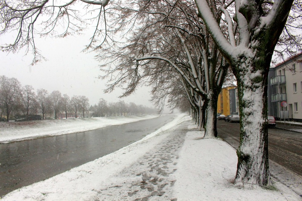 Фотографія Зима не даром злится... / Roor Juri / photographers.ua