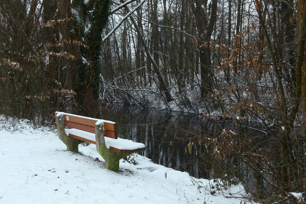 Фотографія У речки скамейка покрылась снежком / Roor Juri / photographers.ua