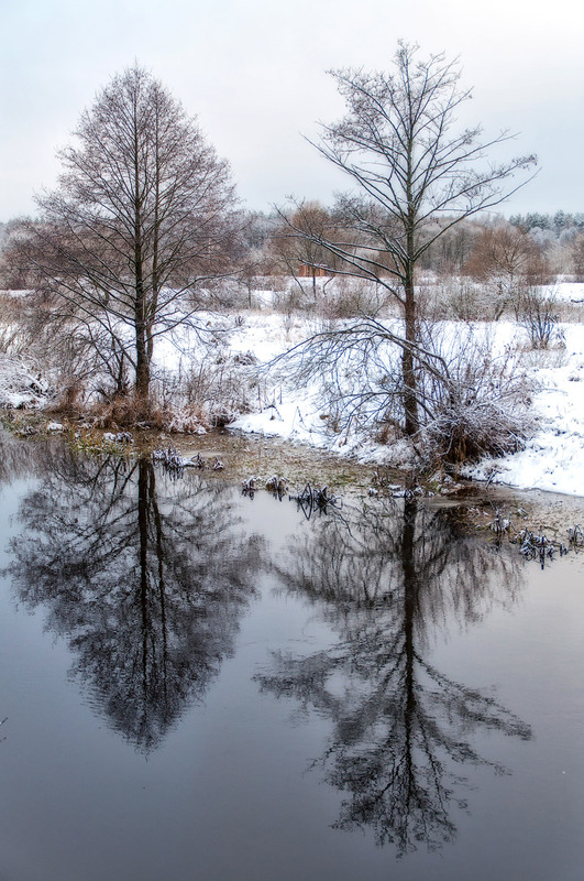 Фотографія Зеркальная Плиса в декабре / Olexandr Panchenko / photographers.ua