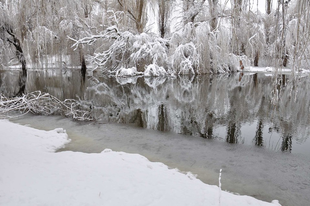 Фотографія Холодна ріка / Ярослав Свінтозельський / photographers.ua