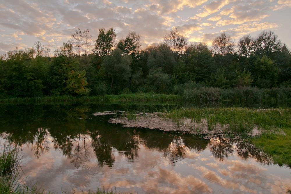 Фотографія Пейзаж / Ярослав Свінтозельський / photographers.ua