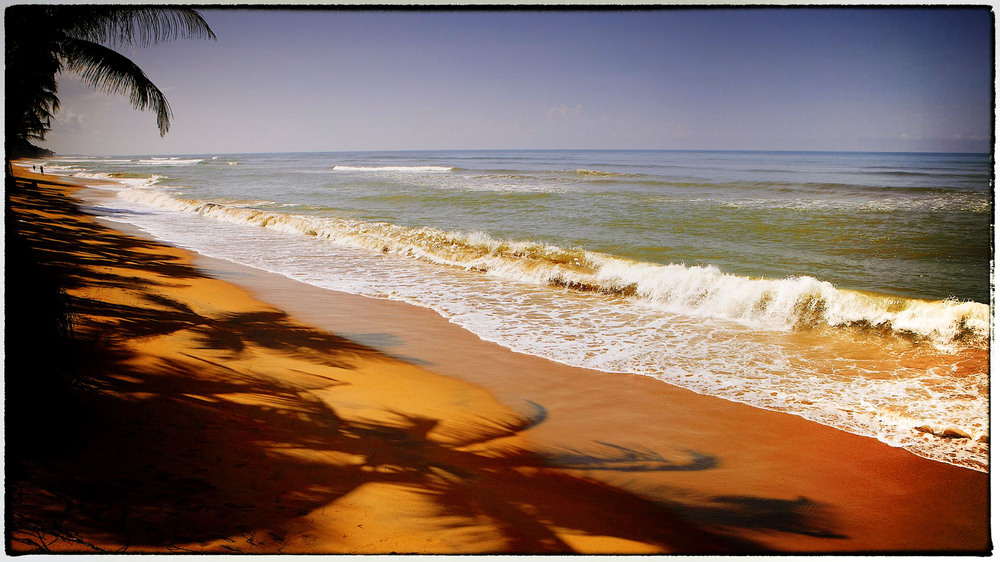 Фотографія Пальмы, океан, песок... / Aleks Rya / photographers.ua