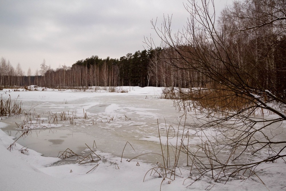 Фотографія Лісове озеро / Alexander / photographers.ua