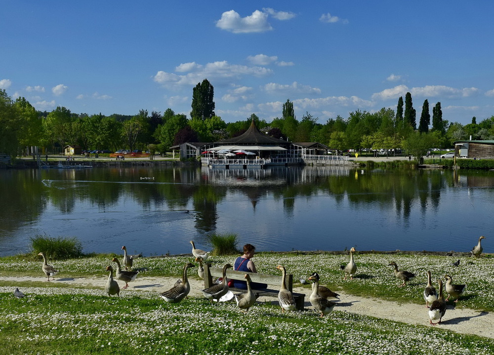 Фотографія В парку біля озера / Володимир П. / photographers.ua