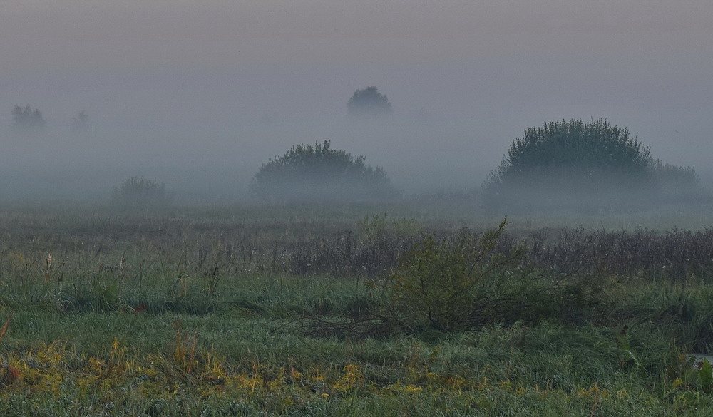 Фотографія Туманний ранок на долині / Володимир П. / photographers.ua