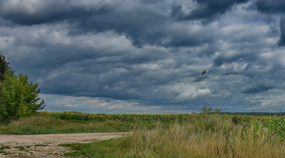 Фотографія *** / Володимир П. / photographers.ua
