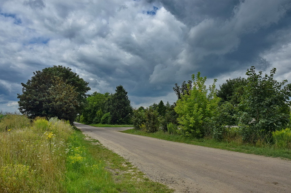 Фотографія Перед грозою / Володимир П. / photographers.ua