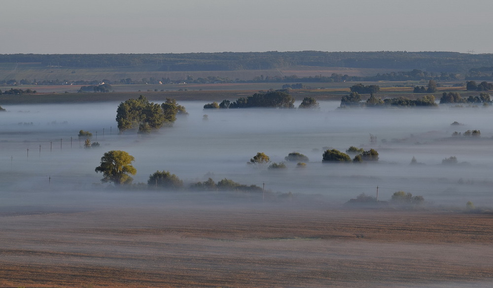 Фотографія Плине туману ріка / Володимир П. / photographers.ua