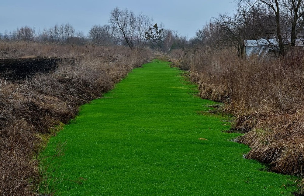 Фотографія *** / Володимир П. / photographers.ua