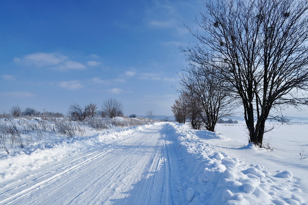 Фотографія Зимовий день / Володимир П. / photographers.ua