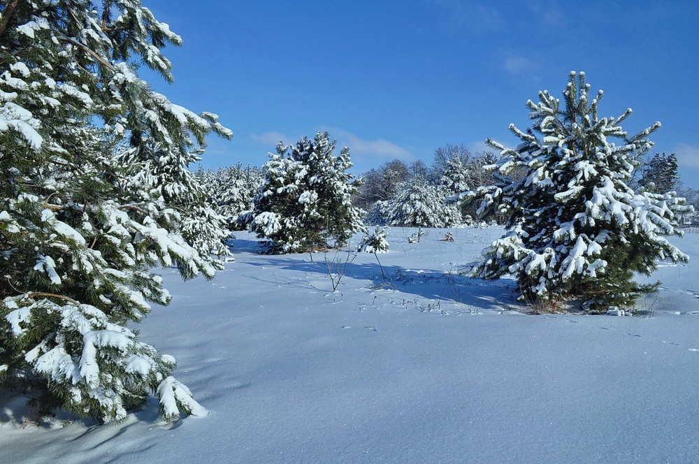 Фотографія Коли зими були сніжними / Володимир П. / photographers.ua