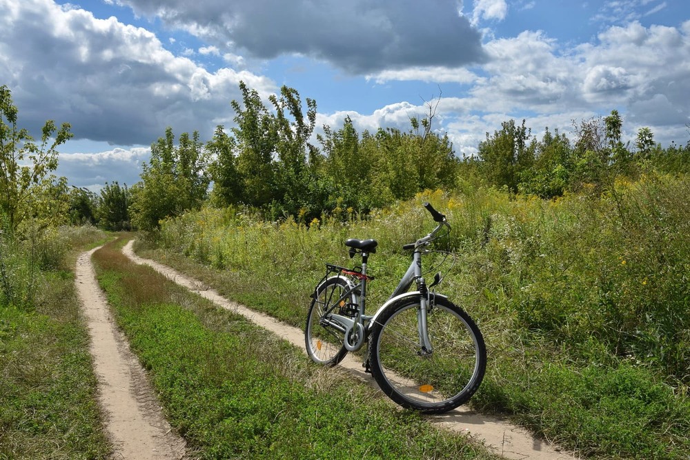 Фотографія *** / Володимир П. / photographers.ua