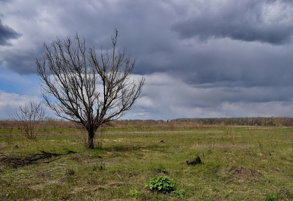 Фотографія *** / Володимир П. / photographers.ua