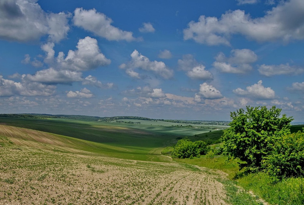 Фотографія *** / Володимир П. / photographers.ua