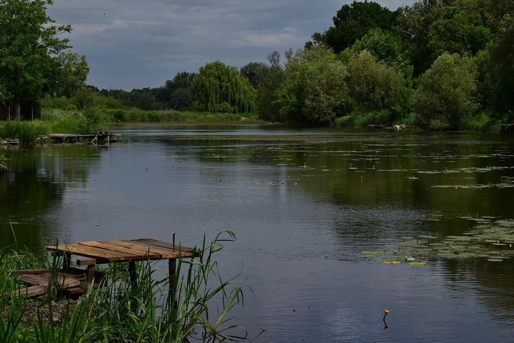 Фотографія *** / Володимир П. / photographers.ua