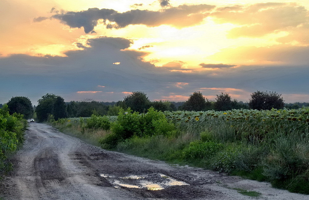 Фотографія *** / Володимир П. / photographers.ua