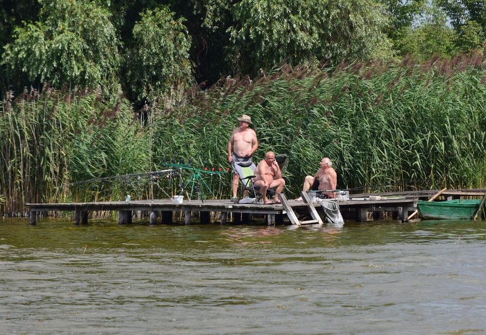 Фотографія Літній релакс / Володимир П. / photographers.ua