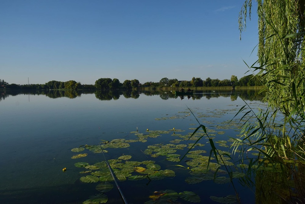 Фотографія В очікуванні кльову / Володимир П. / photographers.ua