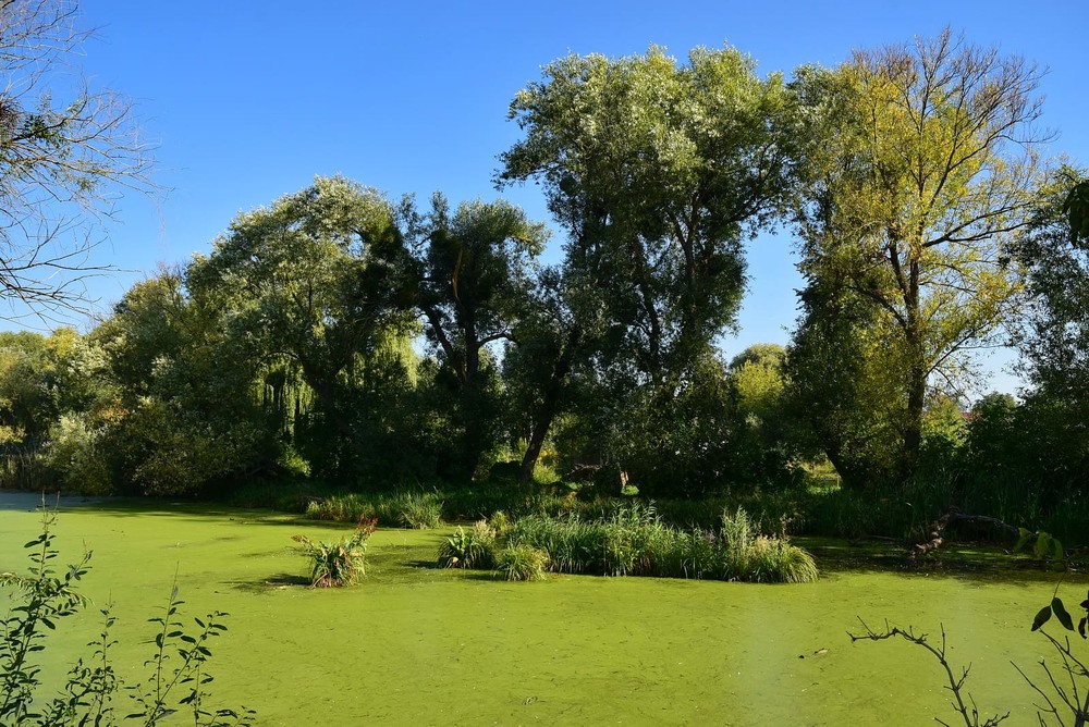 Фотографія *** / Володимир П. / photographers.ua