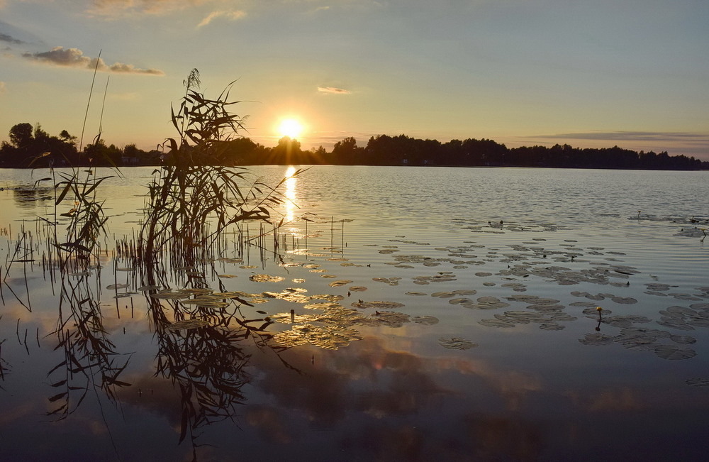 Фотографія Захід сонця на озері / Володимир П. / photographers.ua