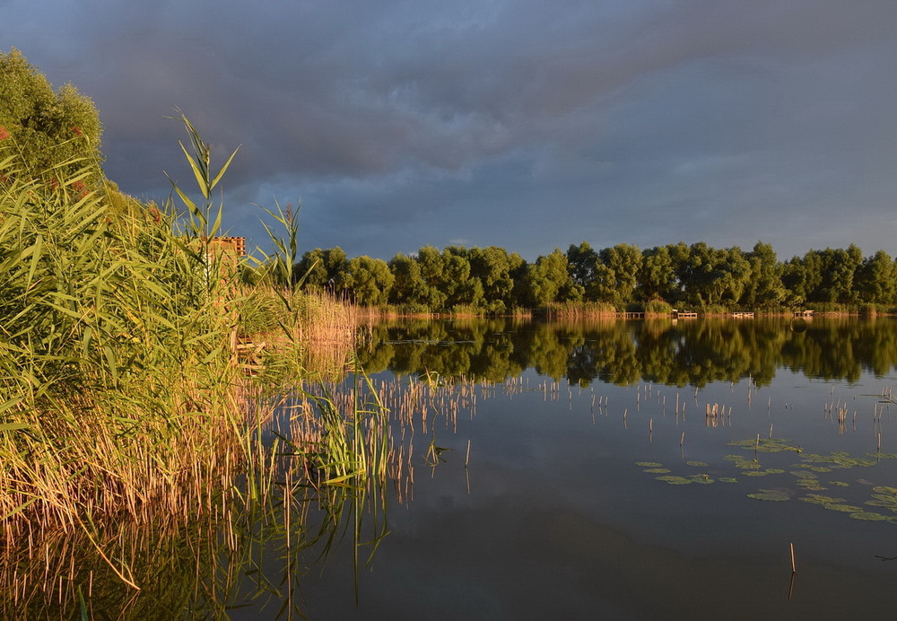 Фотографія *** / Володимир П. / photographers.ua