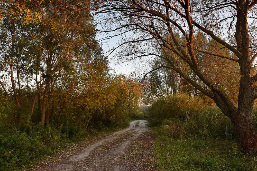Фотографія *** / Володимир П. / photographers.ua