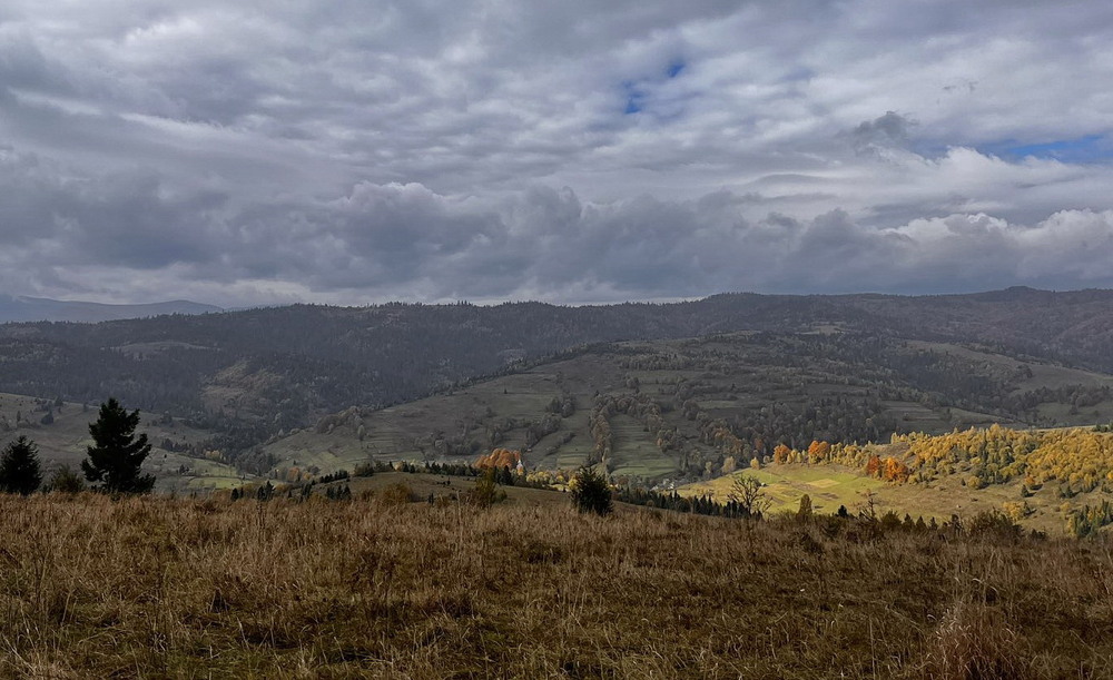 Фотографія Осінь в Карпатах / Володимир П. / photographers.ua