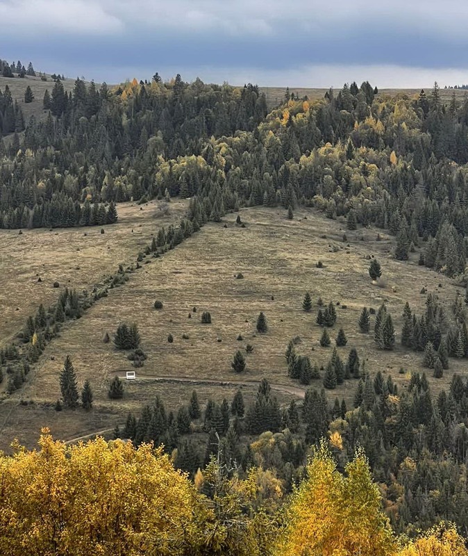 Фотографія Карпати в жовтні / Володимир П. / photographers.ua
