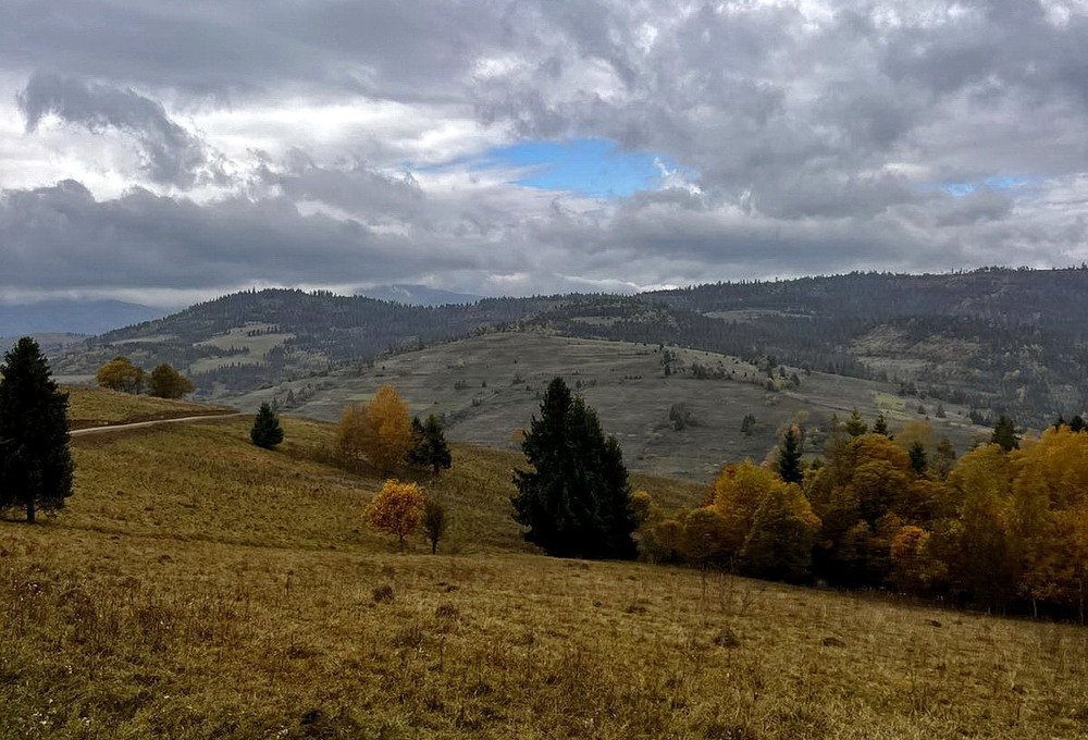 Фотографія *** / Володимир П. / photographers.ua