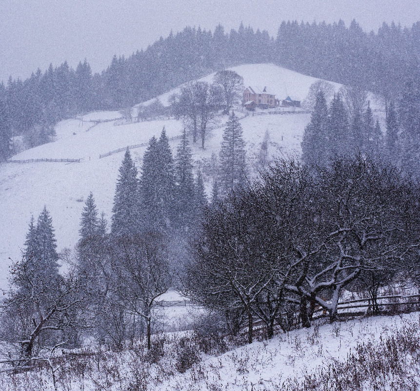 Фотографія Снежное утро в Ворохте / Alena Korn / photographers.ua