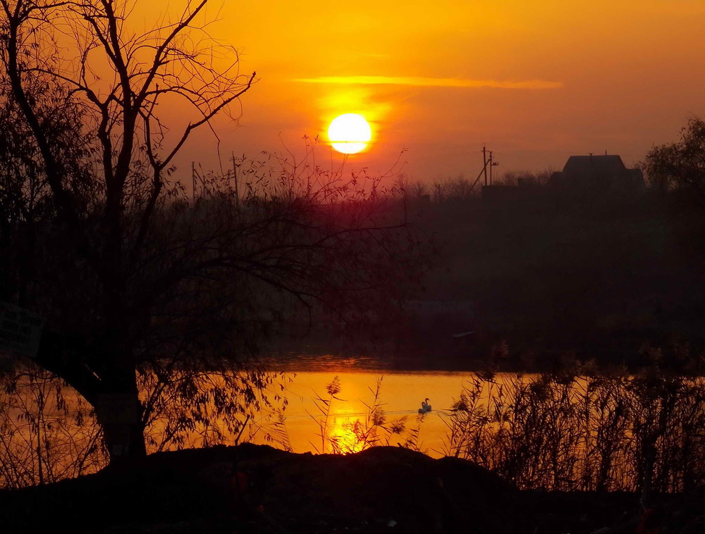 Фотографія Сідає сонце за селом / Володимир Ярошенко / photographers.ua