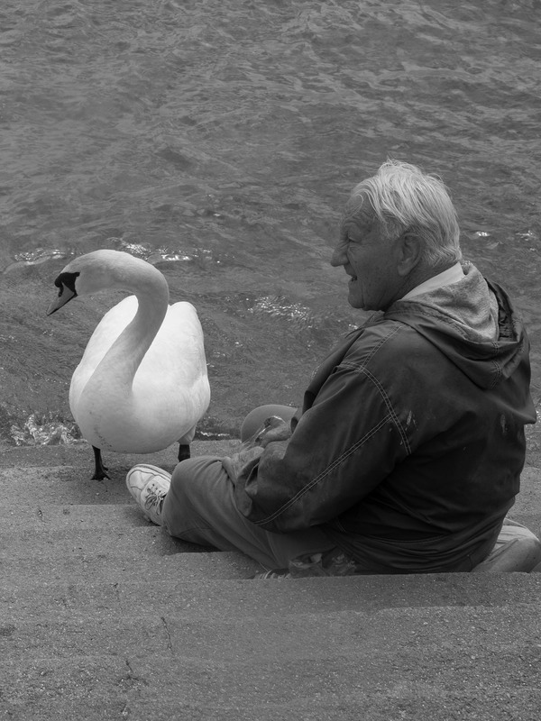 Фотографія Тихий ранок на березі / Олексій Мосейко / photographers.ua